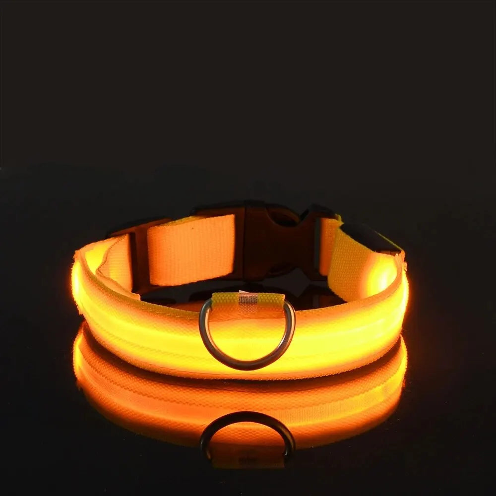 Nylon LED Safety Flashing Glow Dog Collar