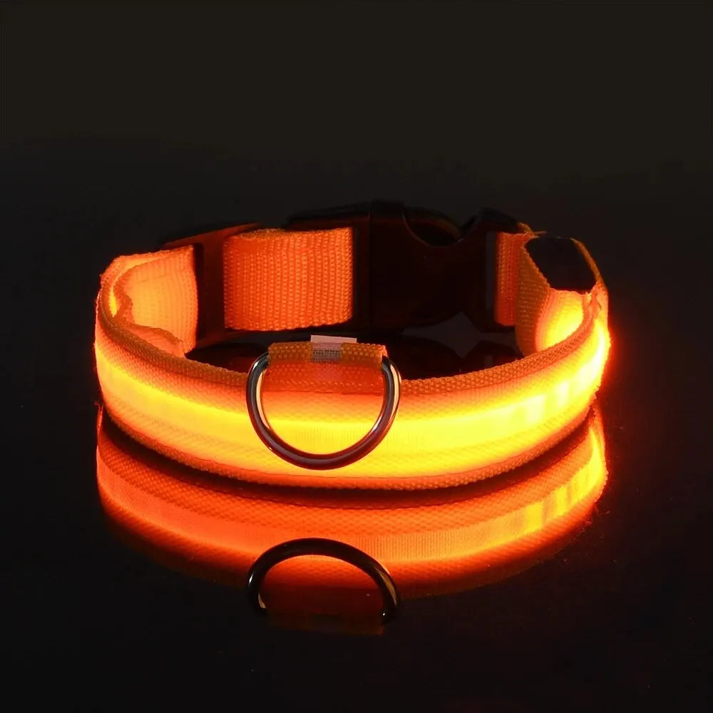 Nylon LED Safety Flashing Glow Dog Collar