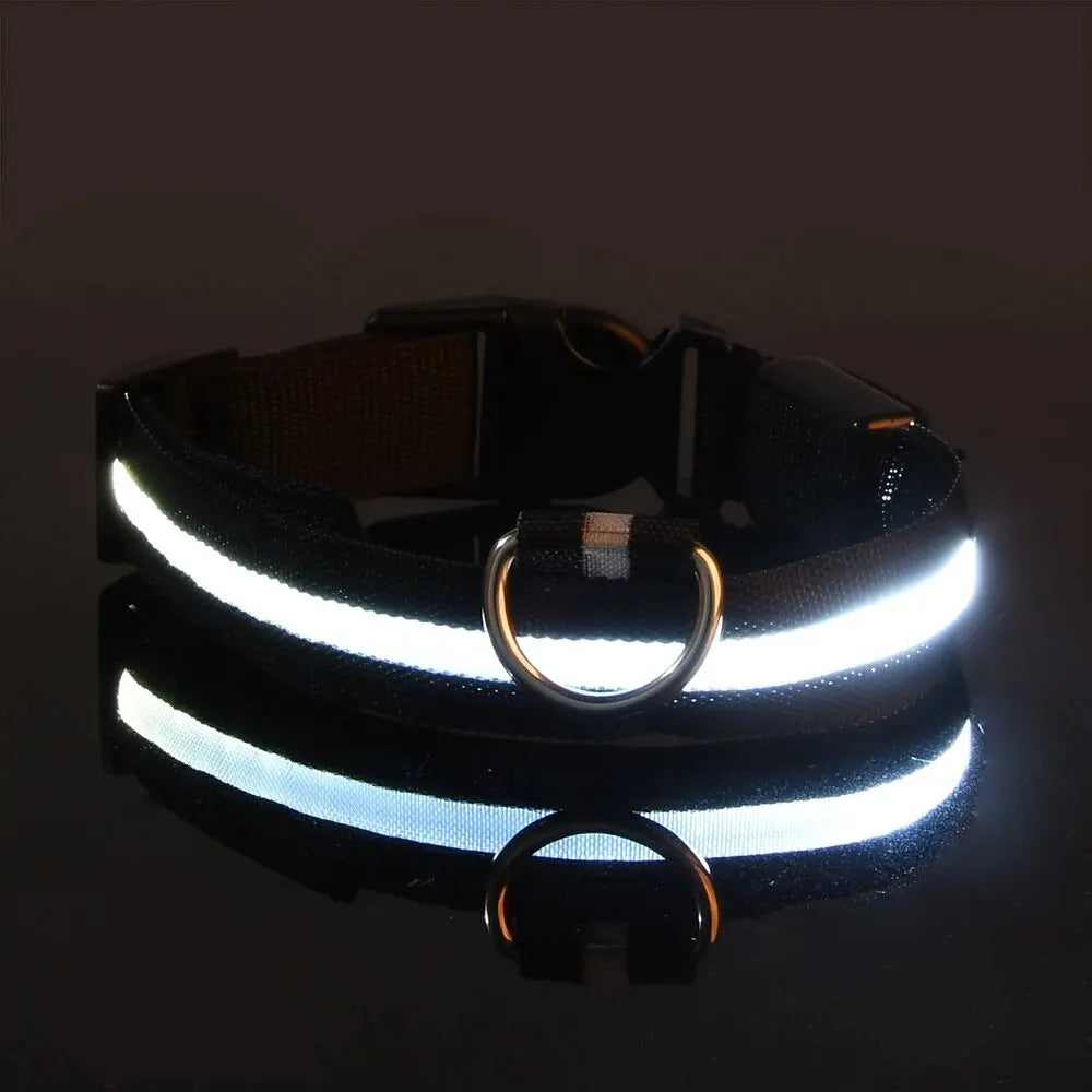 Nylon LED Safety Flashing Glow Dog Collar