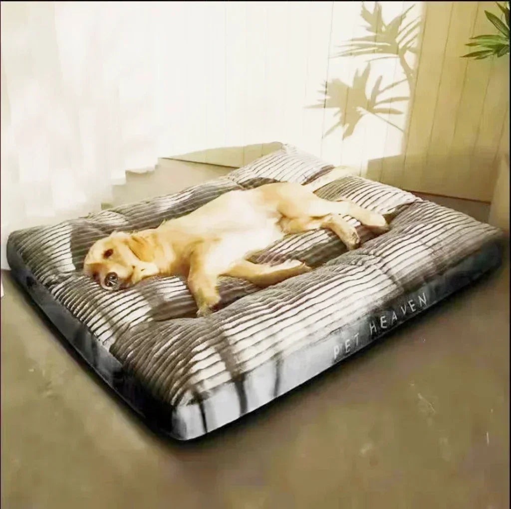 Big Woof Corduroy Comfort Pet Bed