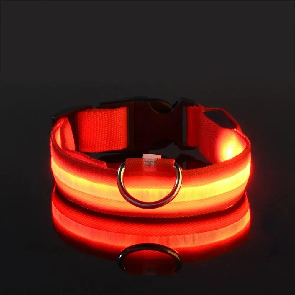 Nylon LED Safety Flashing Glow Dog Collar